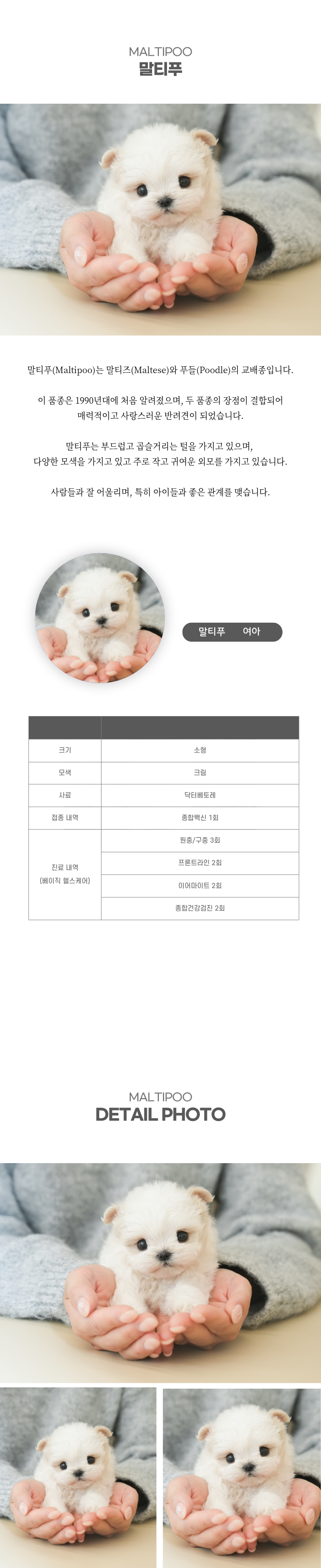 말티푸_상세이미지_2
